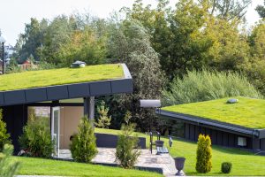 Modern buildings with lawns on the roof in the city eco park, roofs are covered with green grass.