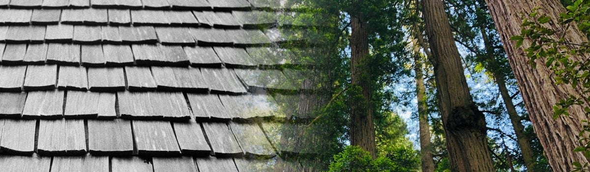 <h1>Is Cedar Shake a Sustainable Roofing Material?</h1>