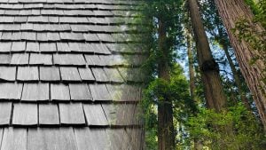 <h1>Is Cedar Shake a Sustainable Roofing Material?</h1>